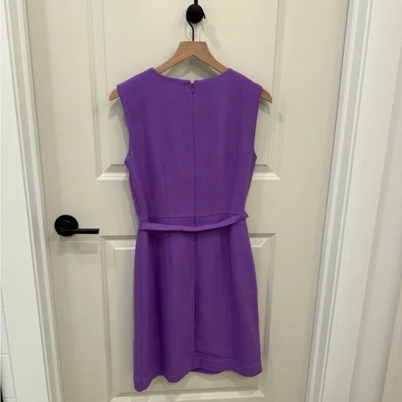 Ann Taylor Vibrant Purple Mini Dress - Picture 4 of 7
